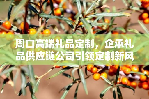 周口高端礼品定制，企承礼品供应链公司引领定制新风尚